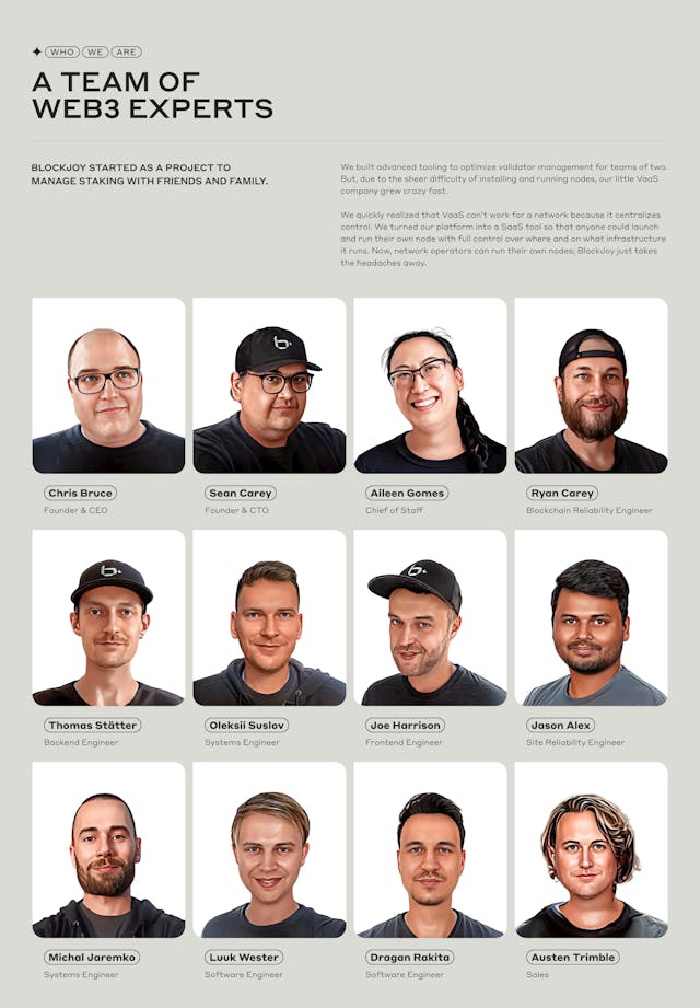 BlockJoy Team Preview