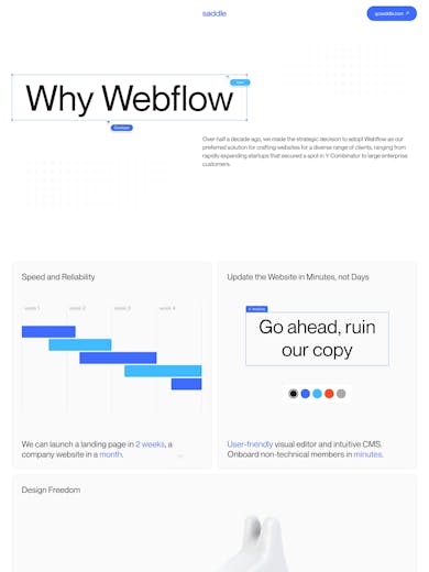 Saddle – Why Webflow Thumbnail Preview
