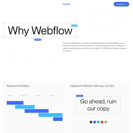 Saddle – Why Webflow