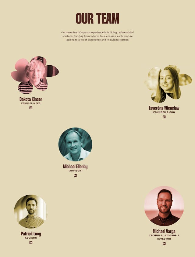 New Valley Labs Team Preview