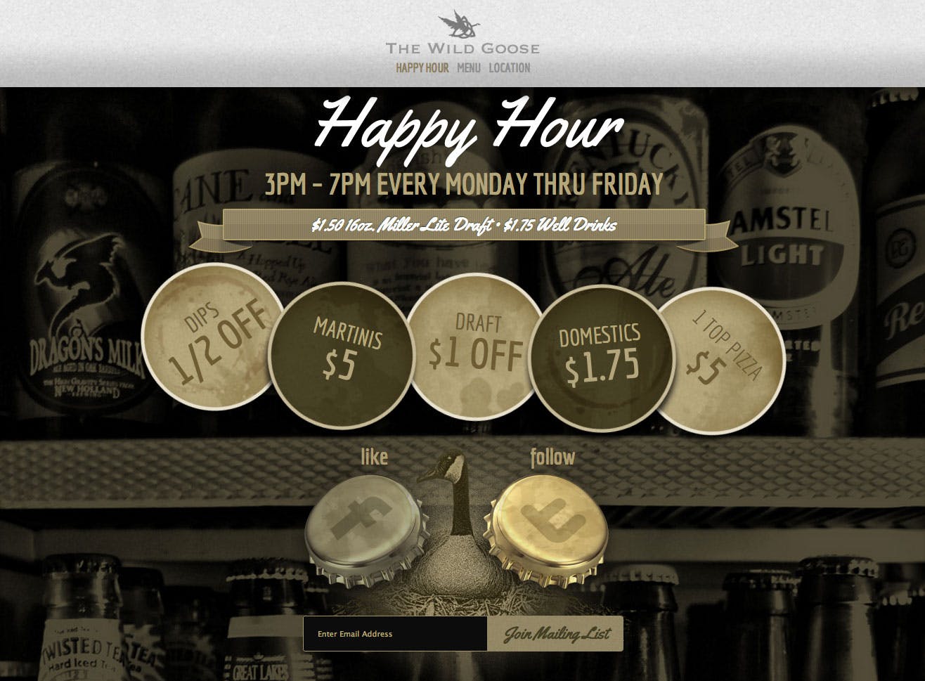 Wild Goose Website Screenshot