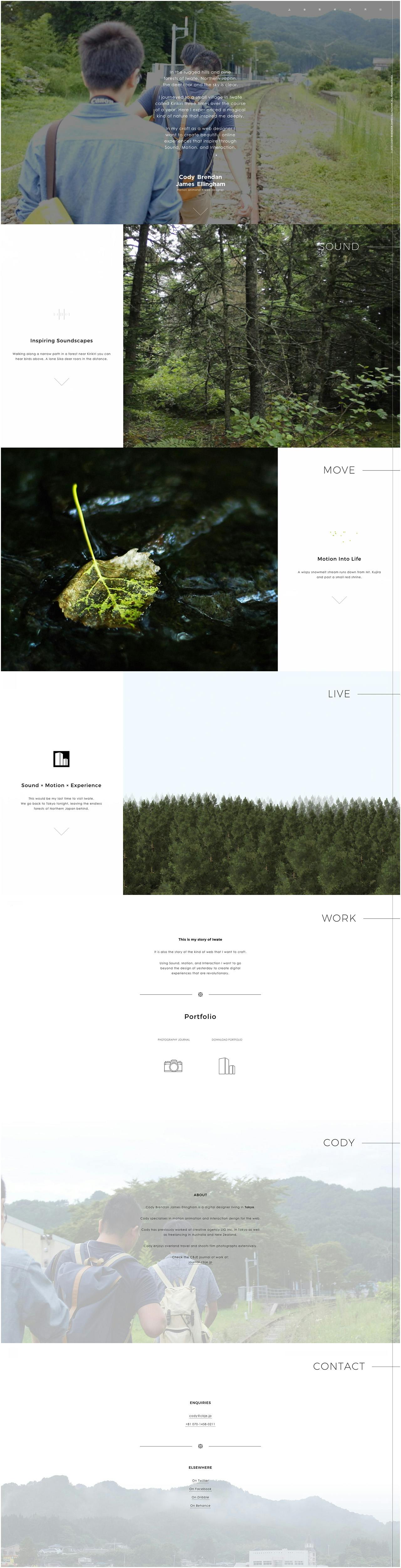 Cody Brendan James Ellingham Website Screenshot
