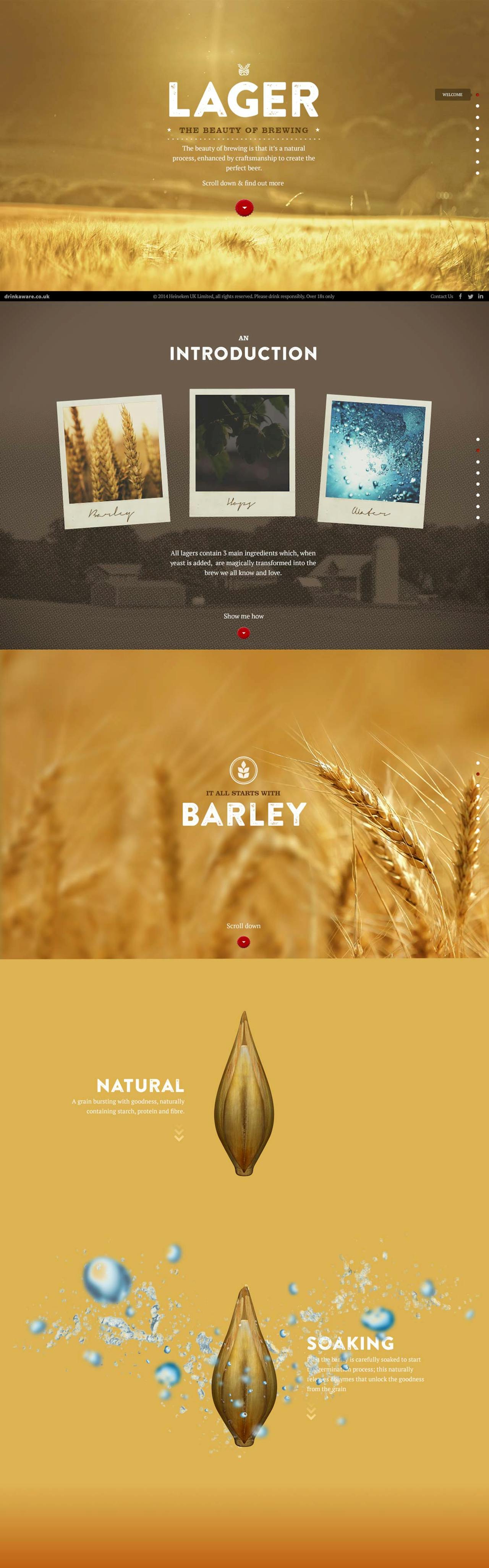 Beauty of Brewing Website Screenshot