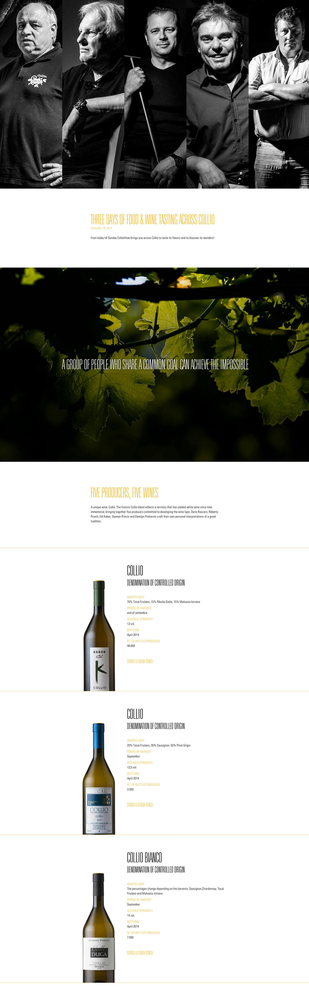 Collio Vitae Website Screenshot
