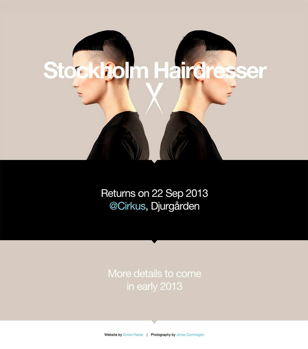 Stockholm Hairdresser 2013 Website Screenshot