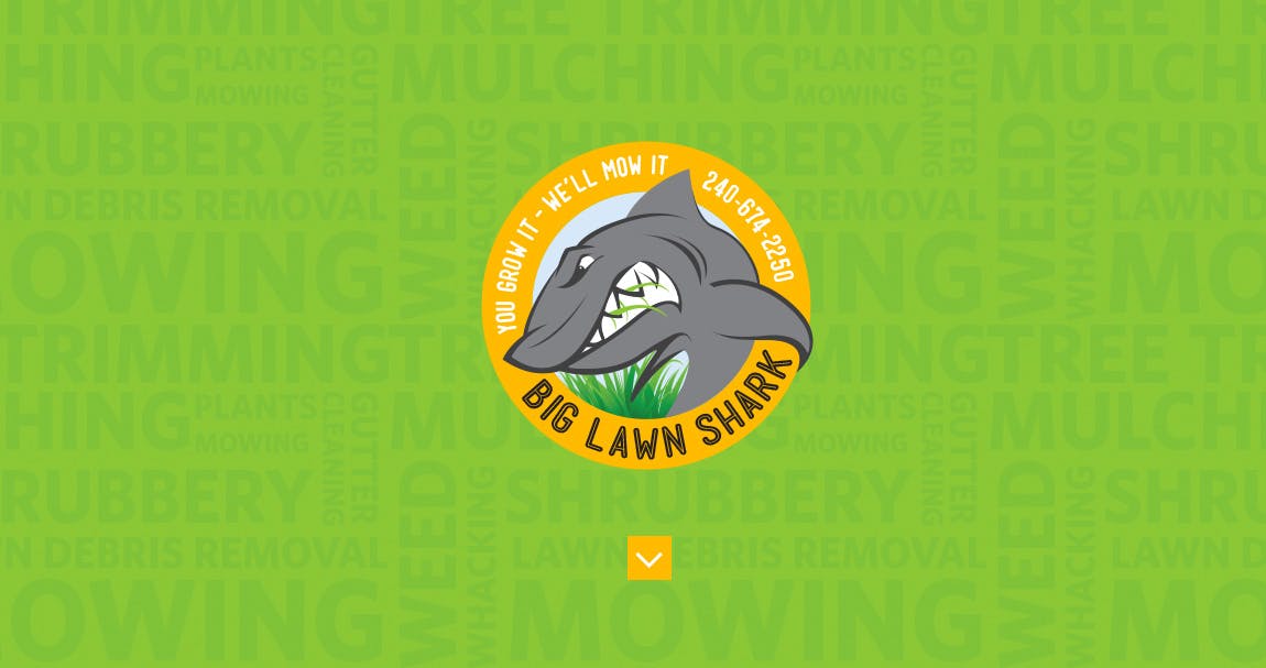 Big Lawn Shark Website Screenshot