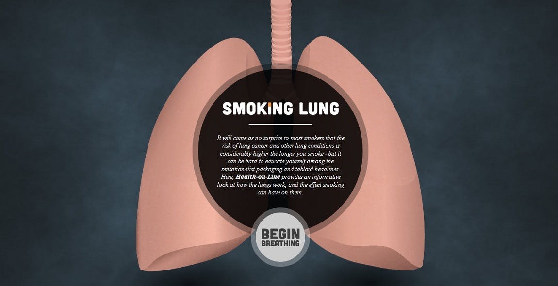 Smoking Lung Website Screenshot