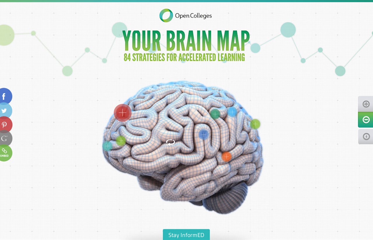Your Brain Map Website Screenshot